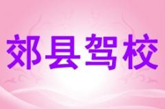 成都郊县驾校风采和郊县驾校Logo