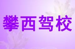 西昌攀西驾校风采和攀西驾校Logo