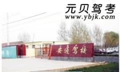 东阿安通驾校风采和安通驾校Logo