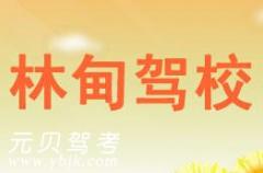 大庆林甸驾校风采和林甸驾校Logo