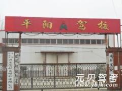 新泰平阳驾校风采和平阳驾校Logo