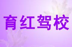 渭南育红驾校风采和育红驾校Logo