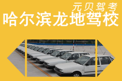 哈尔滨龙地驾校风采和龙地驾校Logo