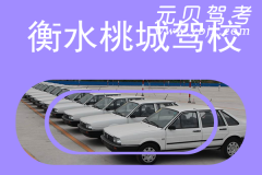 衡水桃城驾校风采和桃城驾校Logo