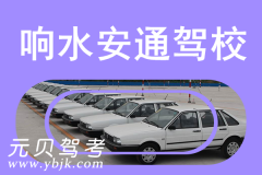 盐城安通驾校风采和响水县安通机动车驾驶员培训中心（普通合伙）Logo