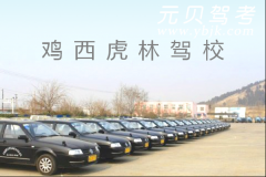 鸡西虎林驾校风采和虎林驾校Logo