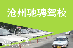 沧州驰骋驾校风采和驰骋驾校Logo