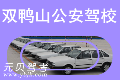 双鸭山公安驾校风采和公安驾校Logo