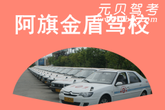 阿旗金盾驾校风采和金盾驾校Logo