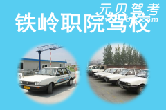铁岭职院驾校风采和职院驾校Logo
