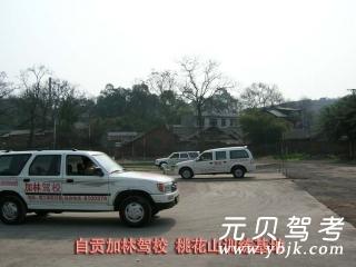 加林驾校
