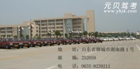 聊大驾校