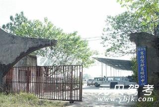赛雅驾校