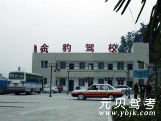 金豹驾校