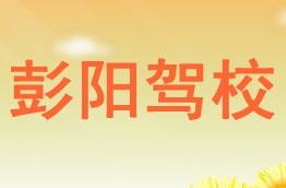 彭阳驾校
