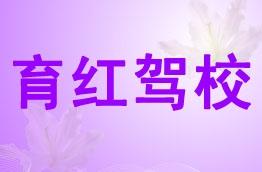 育红驾校