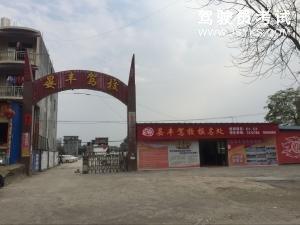 晏丰驾校