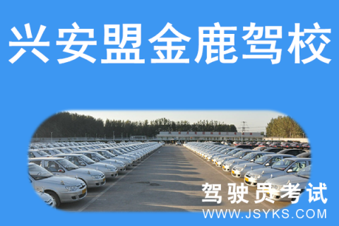 金鹿驾校