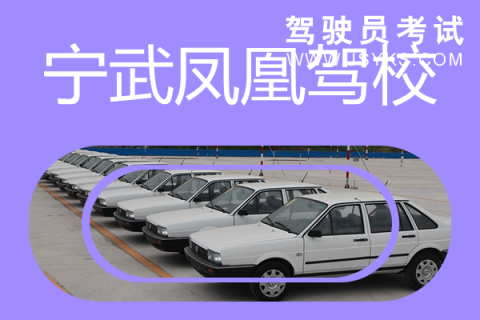 凤凰驾校