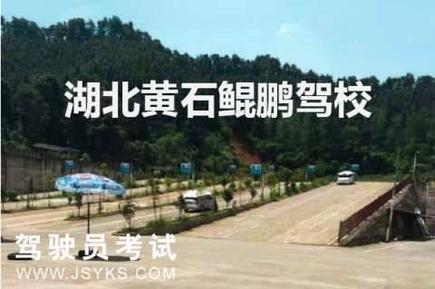 鲲鹏驾校