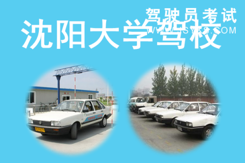 沈大驾校