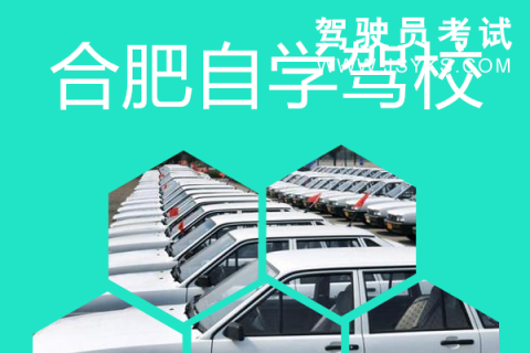 自学驾校