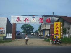 益阳永兴驾校