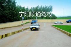 宁阳顺通驾校